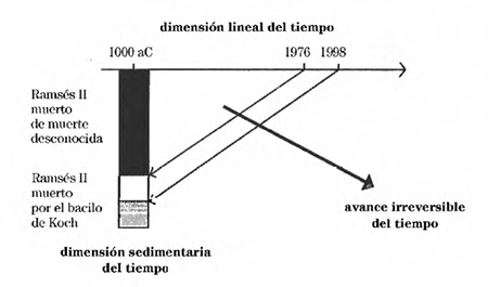 medium/medium-ISEGORIA-65-e10-gf1.png